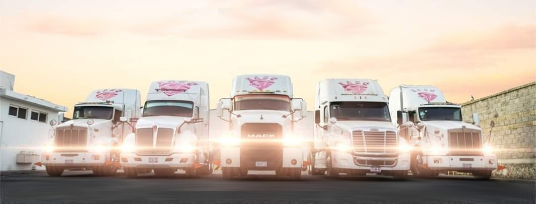 Flota KASU Transportes